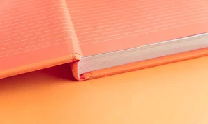 Dossier-reliure